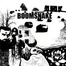 Boomsnake - Give & Take